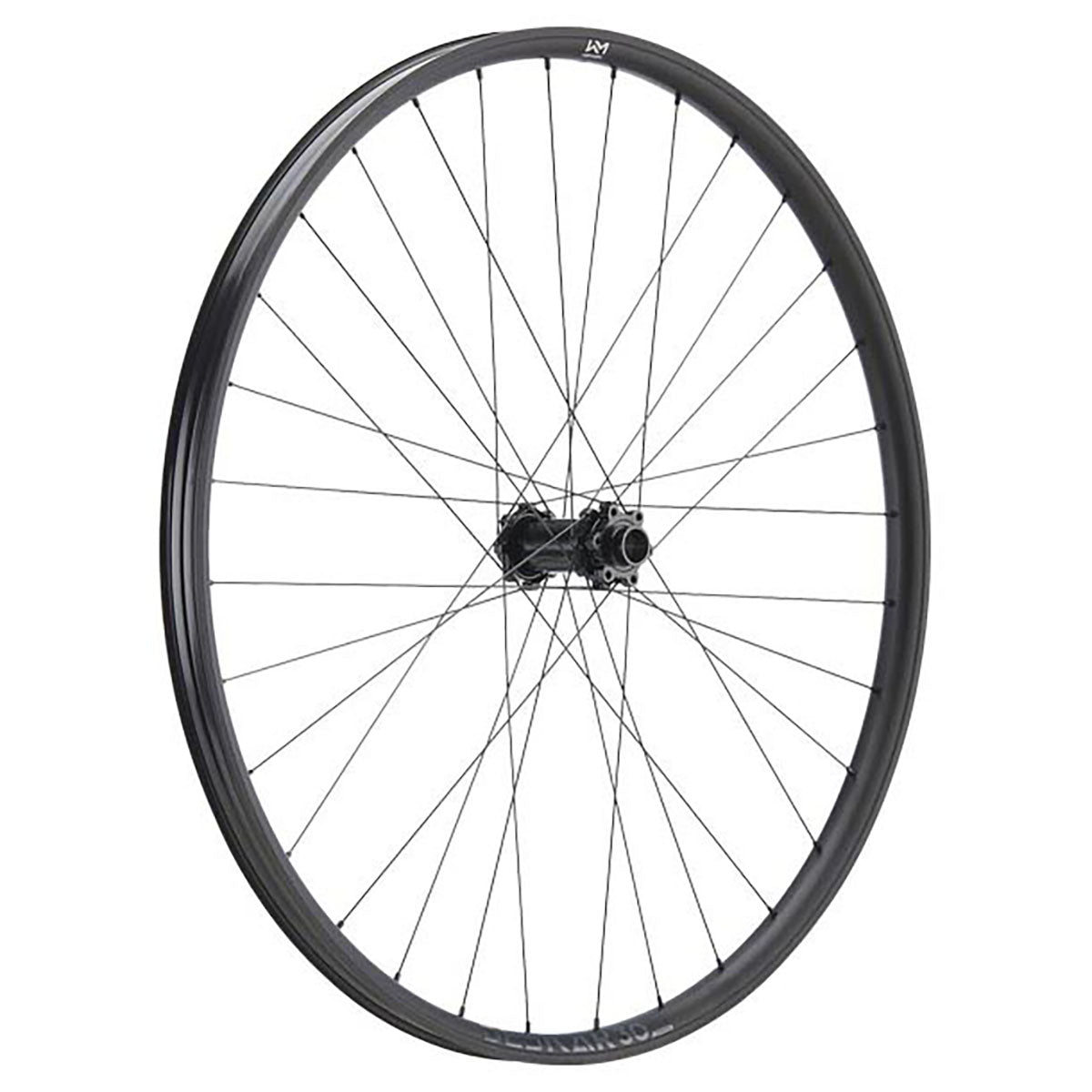 NEWMEN Wheelset - Beskar 30 Downhill (Front Wheel - 29" 32h FADE SP 6B 15-20x110 / Rear Wheel 29" 32h FADE SP 6B 12x148 XD)