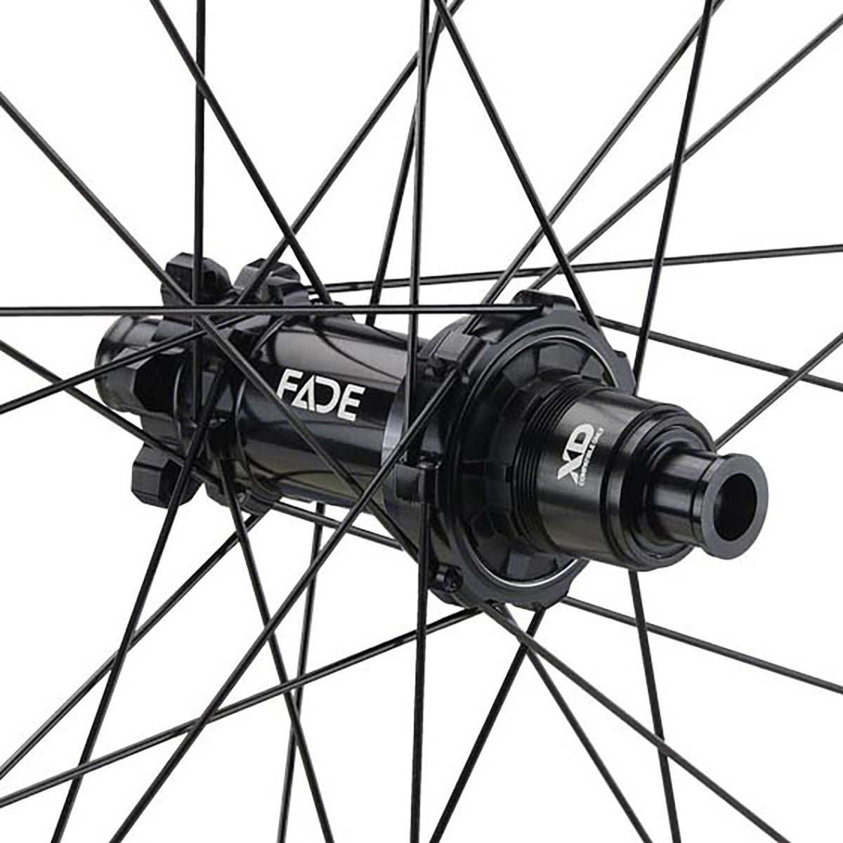 NEWMEN Rear Wheel - Beskar 30 light 29" 28h FADE SP 6B 12x148 XD - XC