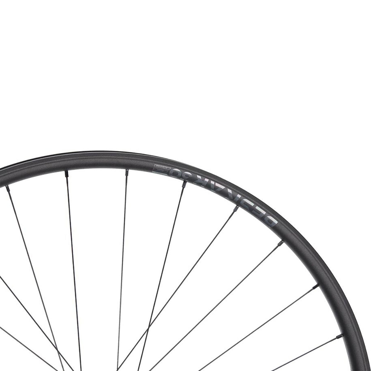 NEWMEN Rear Wheel - Beskar 30 light 29" 28h FADE SP 6B 12x148 XD - XC