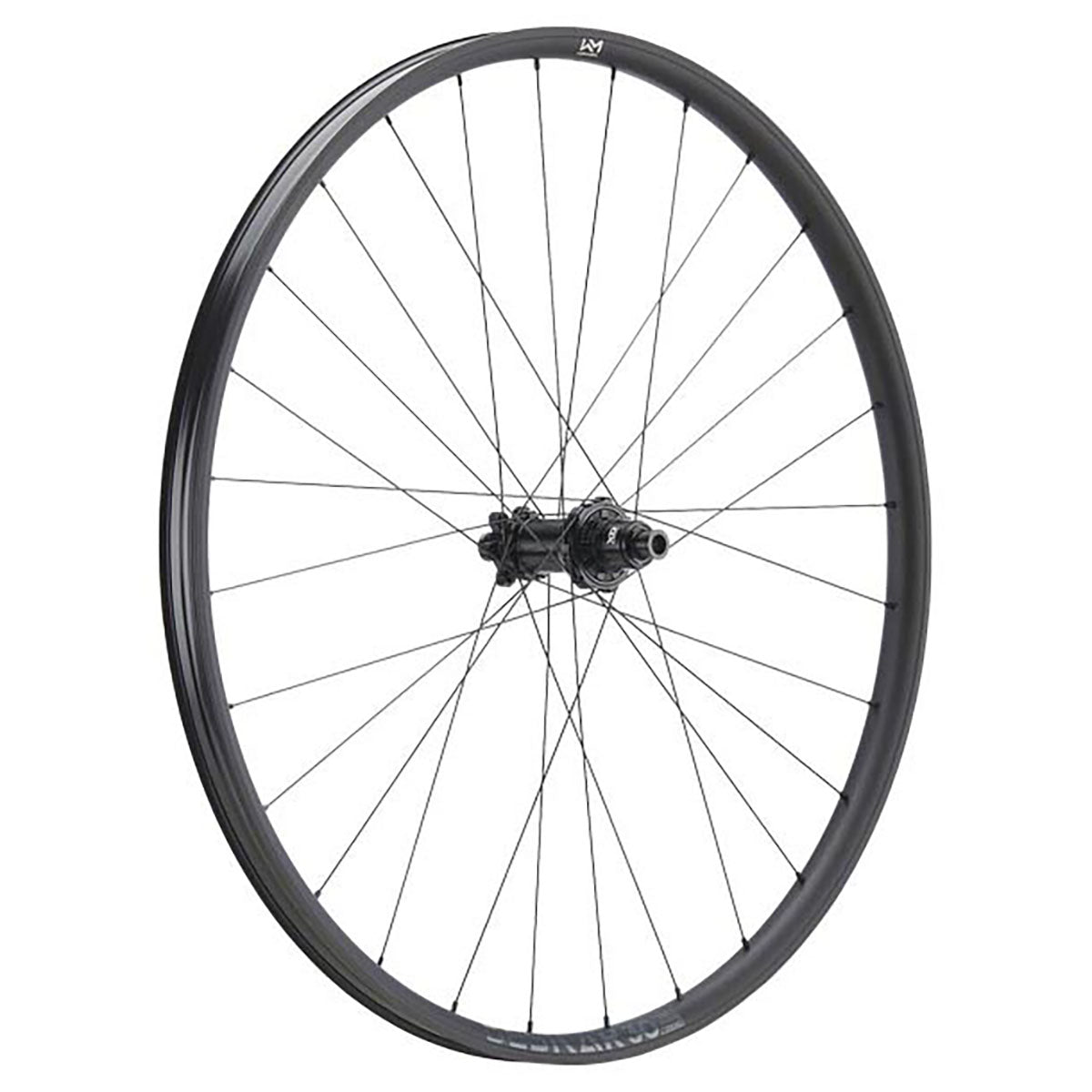 NEWMEN Rear Wheel - Beskar 30 light 29" 28h FADE SP 6B 12x148 XD - XC
