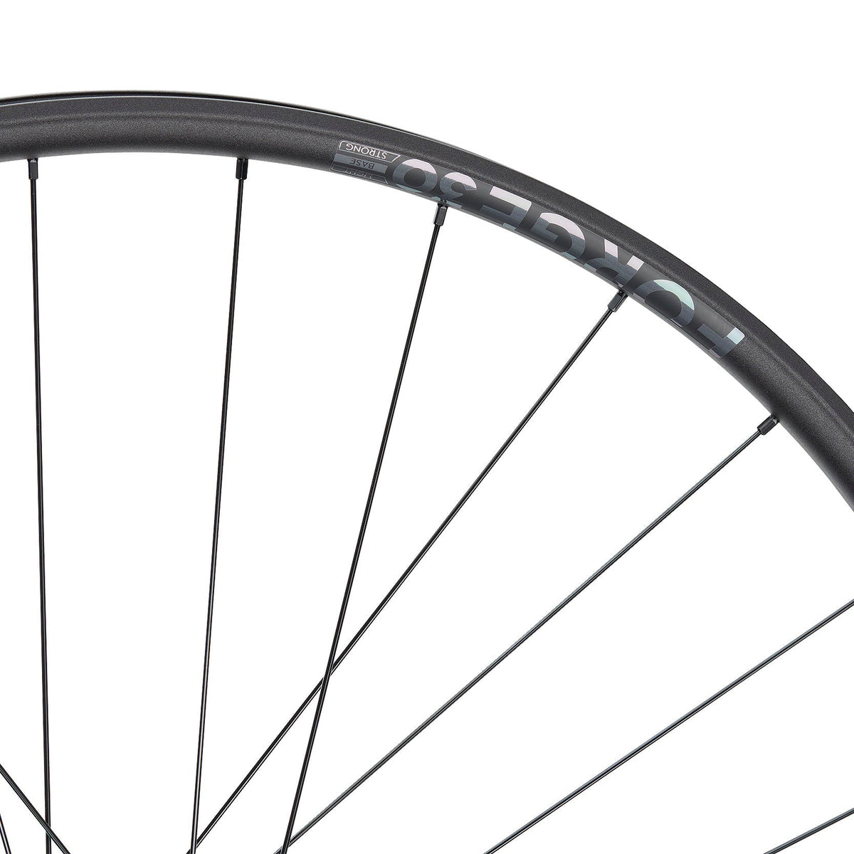 NEWMEN Front Wheel - Forge 30 base 29" 28h FADE SP 6B 15x110 - Trail