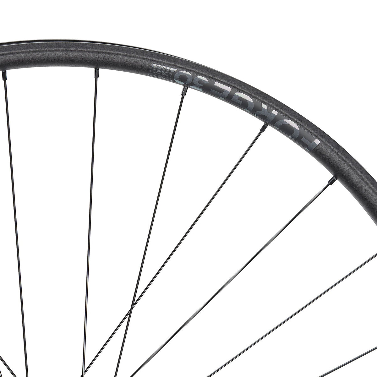 NEWMEN Rear Wheel - Forge 30 strong 29" 32h FADE SP 6B 12x148 XD - Enduro