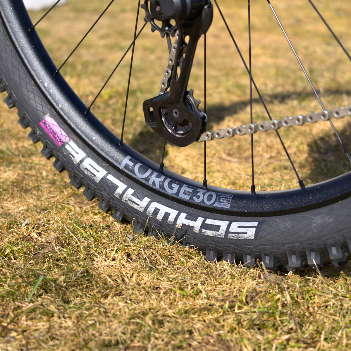 NEWMEN Rear Wheel - Forge 30 strong 29" 32h FADE SP 6B 12x148 XD - Enduro