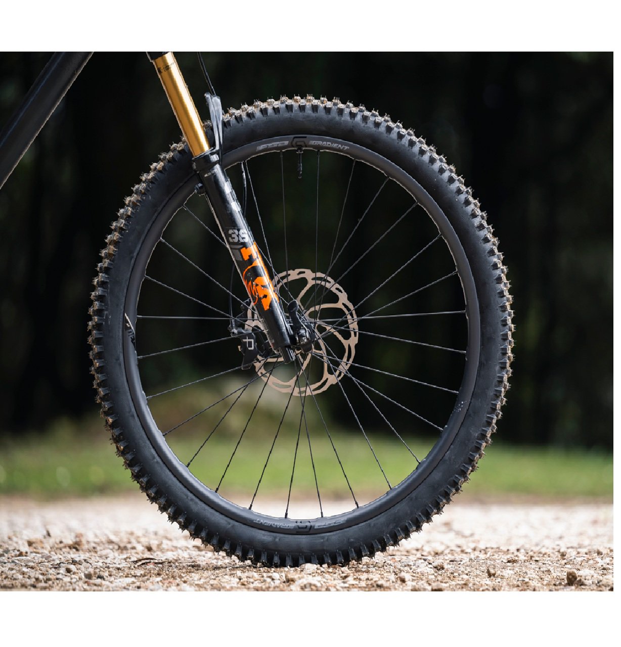 FSA Gradient i30 Carbon MTB Wheelset 29" Boost XDR